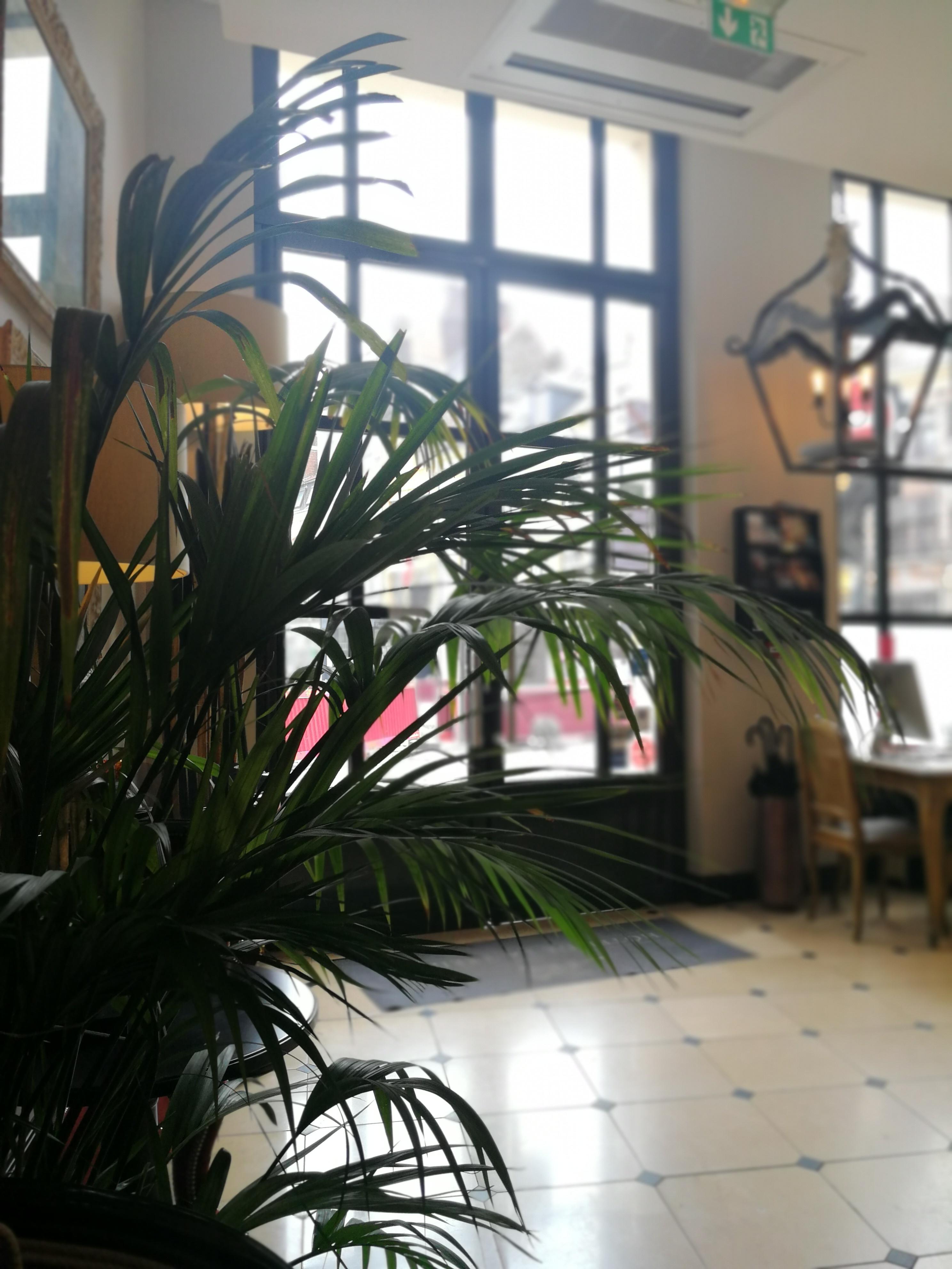 Hotel De La Treille Lille Zewnętrze zdjęcie